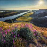 Парк Мелового периода :: Сергей Попрошаев