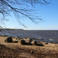 Петергоф. Финский залив. Апрель :: Наталья Герасимова Петергоф. Финский залив. Апрель :: Наталья Герасимова