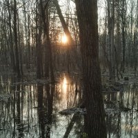 Закат над весенними водами :: 4X_Pro Непразднующий