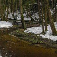 Полноводный ручей :: Сергей Цветков