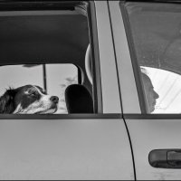 Перекресток :: **** vedin