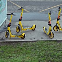 Сезон наступил :: Валерий Иванович