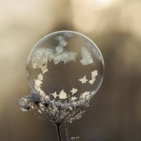 Пузырь с узорами :: Андрей Пристяжнюк