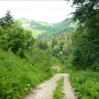 Вместе весело шагать! :: Надежда Вместе весело шагать! :: Надежда