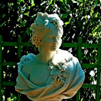 ЛЕТНИЙ САД. :: Виктор Осипчук