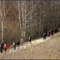 *** :: Aleksandr Gal