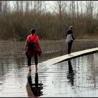 *** :: Aleksandr Gal