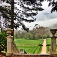 весна в Массандровском парке :: Ольга