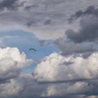 под облаками :: Galina 