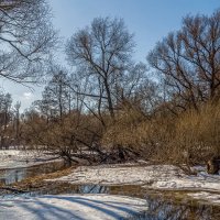 Весна :: Aleksey Afonin Весна :: Aleksey Afonin
