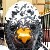 Нос :: Наталья 