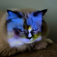 * :: Сергей Полянский * :: Сергей Полянский