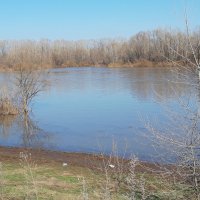 Весна :: Венера Чуйкова