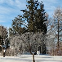 Территория Площанской пустыни :: Елена Сухорученкова