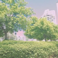 14  КЛОС (112) :: CLOSE WAYS ALL