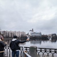 Про чаек. :: Ольга 