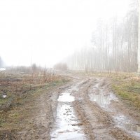 Апрельская дорога :: Татьяна Тюменка