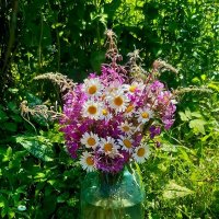 Букет летних полевых цветов! :: Нина Андронова