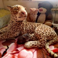 ** :: Сергей Кочнев