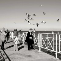 Люди и чайки :: Наталья Герасимова