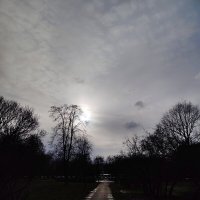 Вечерние краски :: Андрей 