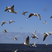 Хоровод мгновений :: Иван Державин