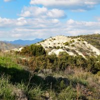 Ландшафт :: Олег 