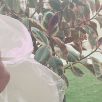 14  КЛОС (115) :: CLOSE WAYS ALL