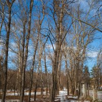 Природа марта :: Александр Синдерёв