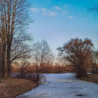 Весенние зарисовки  в парке Победы. :: Лилия *
