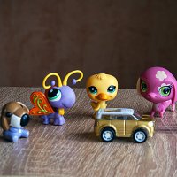 Компания :: Владимир Кроливец