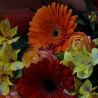 * * * :: Алёна Савина * * * :: Алёна Савина