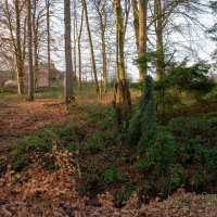 *** :: Николай Гирш