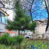 ,,, :: Сергей Тимоновский