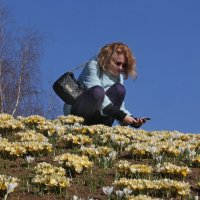 Зарядье 23 марта :: Михаил Бибичков Зарядье 23 марта :: Михаил Бибичков