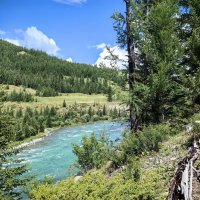 Краски лета :: Галина Козлова 