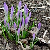 Молодым везде у нас дорога! :: Александр Чеботарь Молодым везде у нас дорога! :: Александр Чеботарь