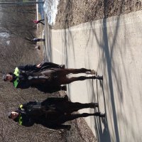 Московские типы :: Андрей Лукьянов