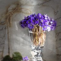 Букетик ранней весны. Вариант открытки :: Bosanat 