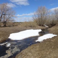 Весна в окрестностях поселка Чеускино! :: Владимир 
