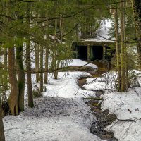 Апрельские ручьи :: Сергей Цветков