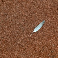 Потеряшка :: Валерий Иванович Потеряшка :: Валерий Иванович