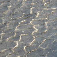 лёд . декабрь :: Елена Шаламова