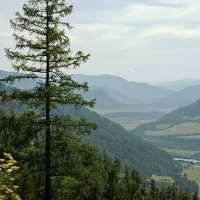 Над Алтаем туман :: Галина Нестратова