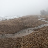 * :: Светлана Воробьева