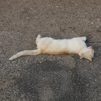 Кайф :: Ольга Кайф :: Ольга