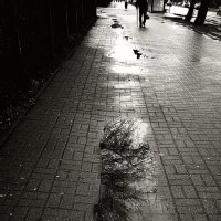 дожди :: Николай Семёнов