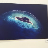 Удивительная Земля! :: Надежда 