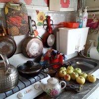 Сельский быт :: Владимир Гришин