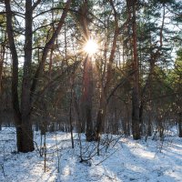 Мартовское солнце :: Александр Синдерёв